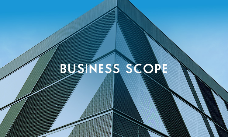 Business scope
