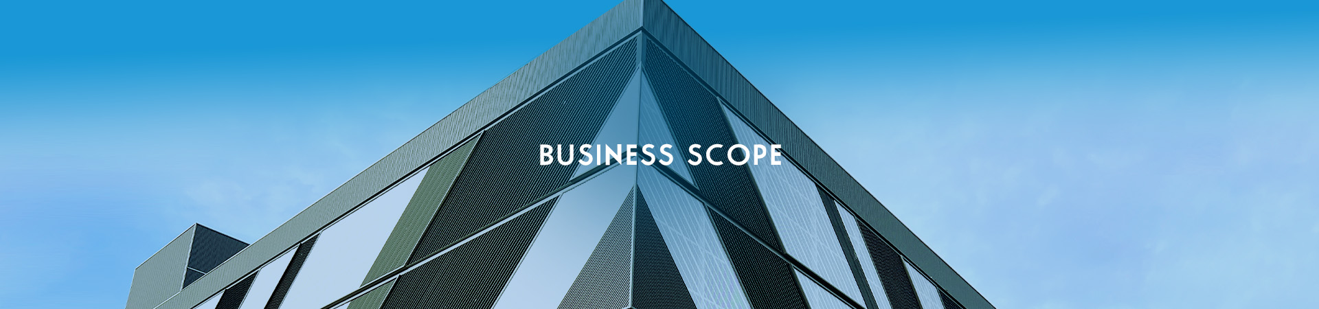 Business scope
